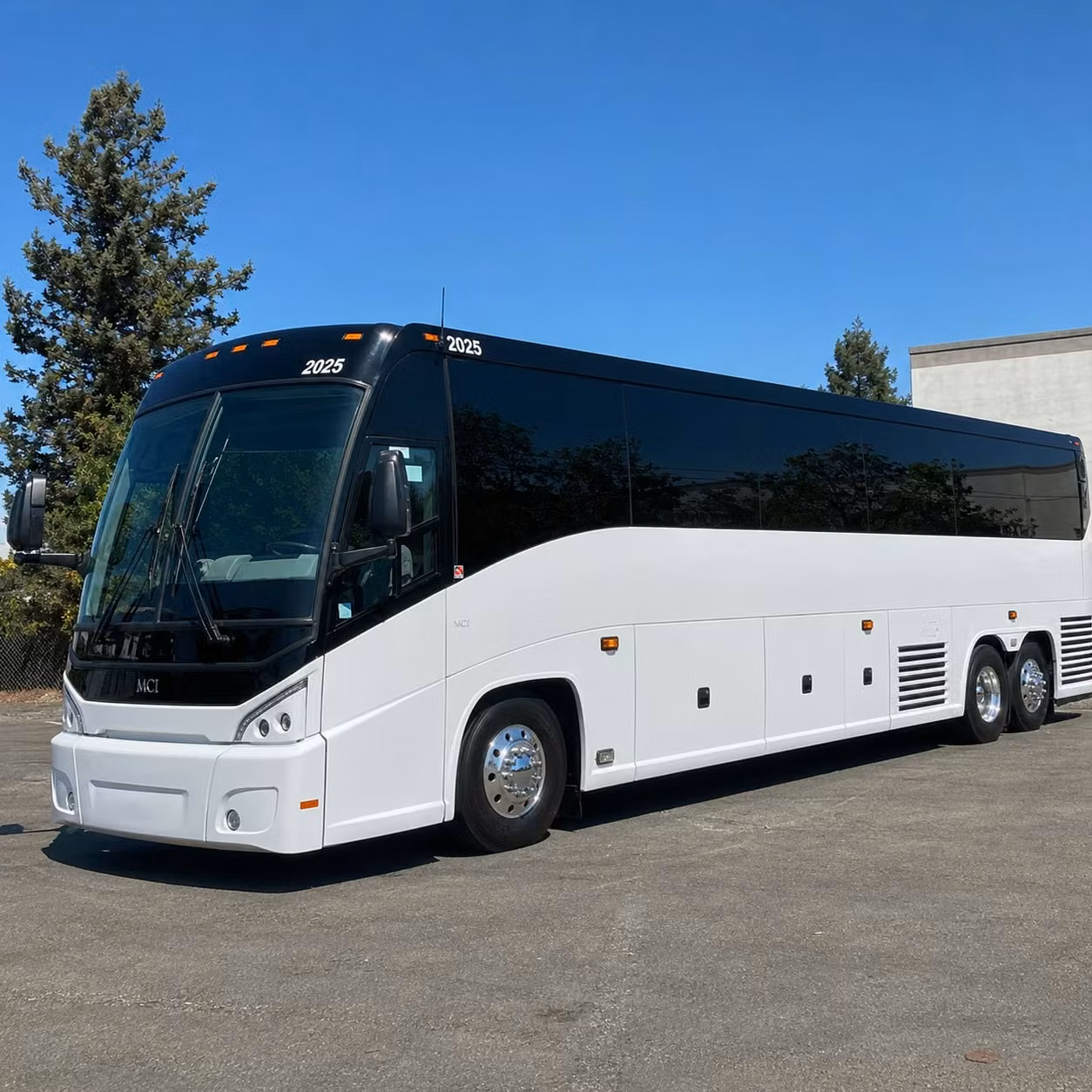 56 passenger charter bus