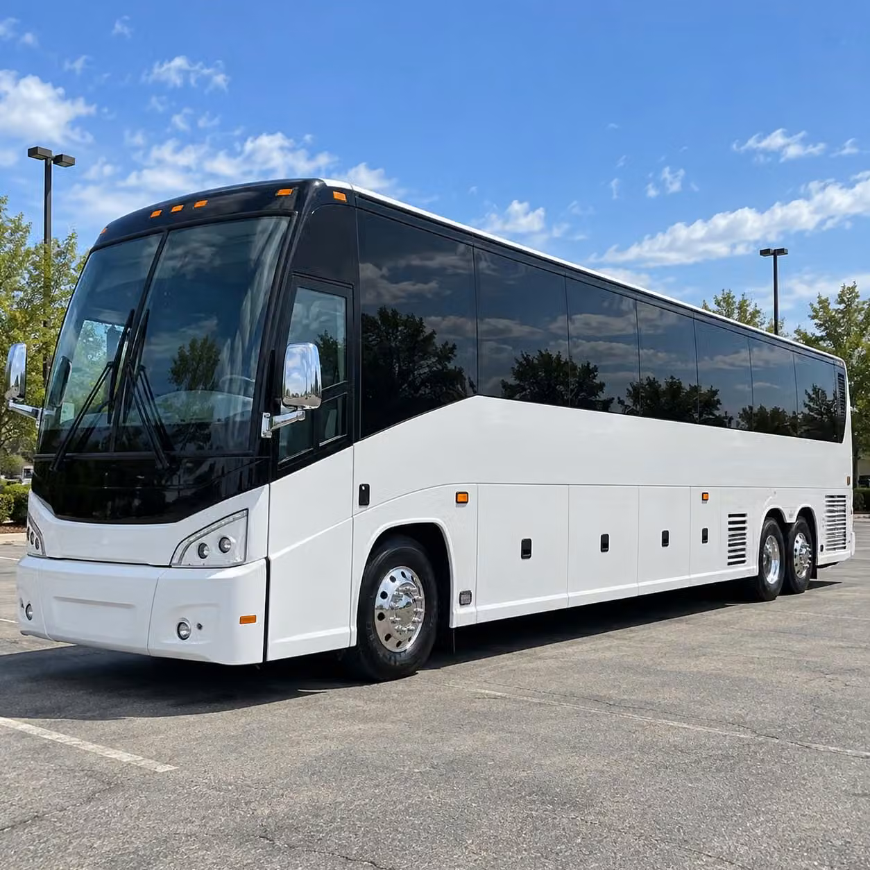 bachelorette party and birthday bus rentals in grand prairie